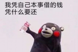 祁东债务清欠服务